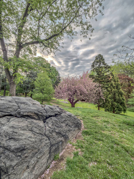 istock Central Park, New York City spring 683091458