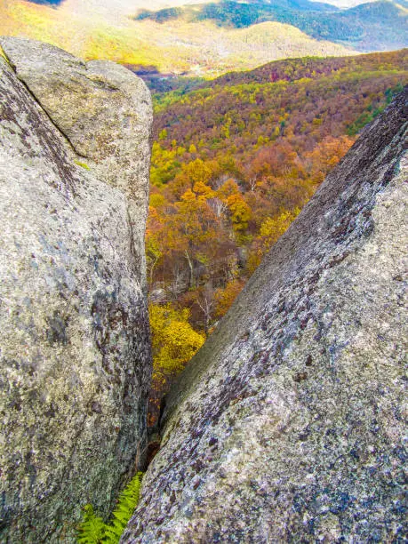 Rock boulder closeup on peak of Old Rag Mountain in Shenandoah, Virginia with yellow and golden orange foliage on forests