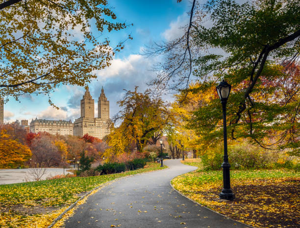 istock Central Park, New York City in late autumn 683094248