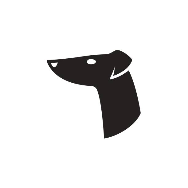Greyhound head icon Greyhound icon vector illustration. Stylized dog head silhouette in minimal style. whippet racing stock illustrations
