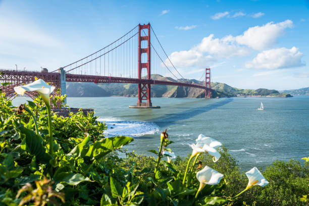 istock Golden Gate Bridge in San Francisco Caliornia 683106008