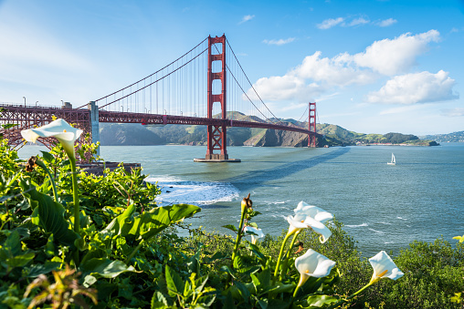 Golden Gate Bridge in spring