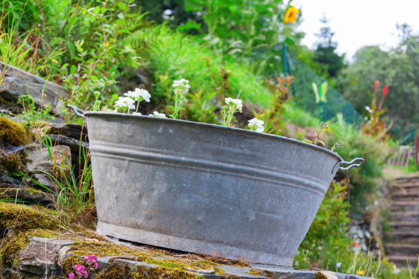 istock old zinc tub on a mossy wall 683108484