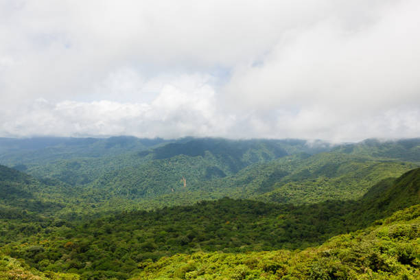 istock Rainforest landscape in Monteverde Costa Rica 683111948