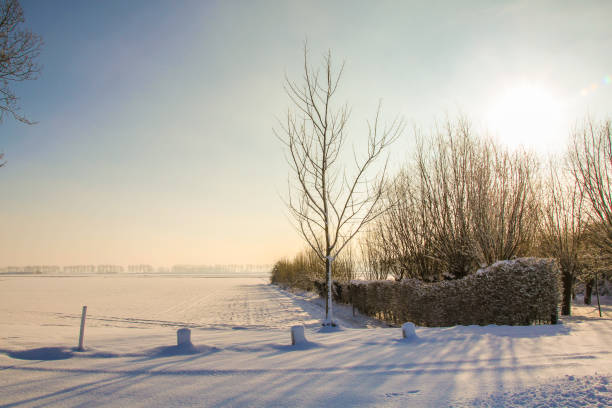 Dutch road, bushes and field covered in snow with evening sunset light