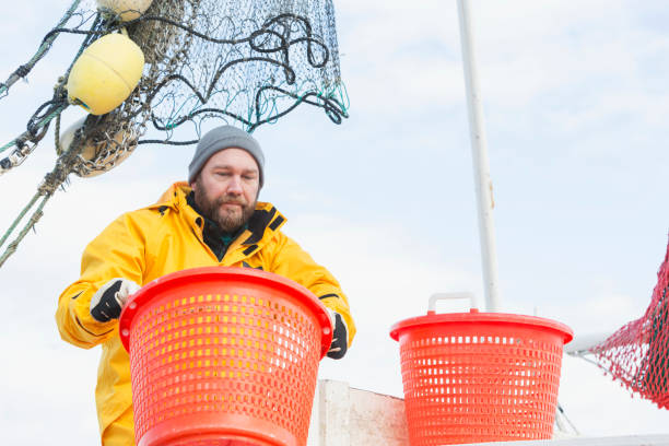 istock Man working on commercial shrimp boat carrying basket 683125022