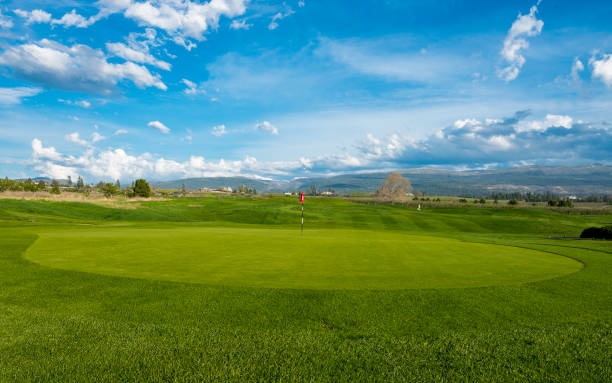 istock Evening at the Golf Club 683129332