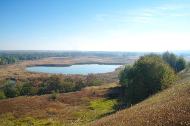 autumn landscape with yellow tree on coast of the river