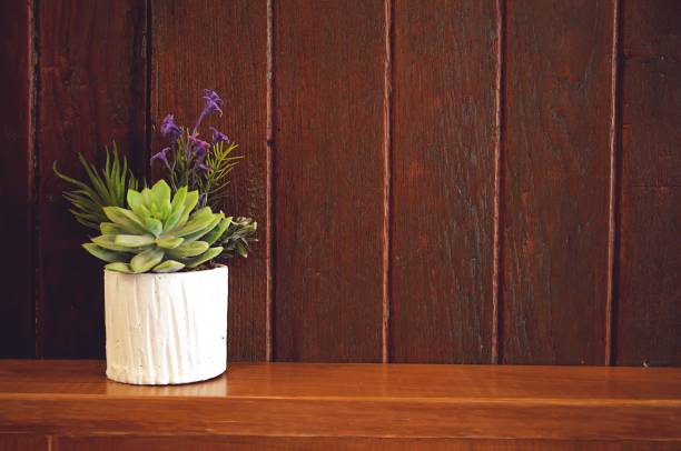 istock Little tree vase against the wall 683139618