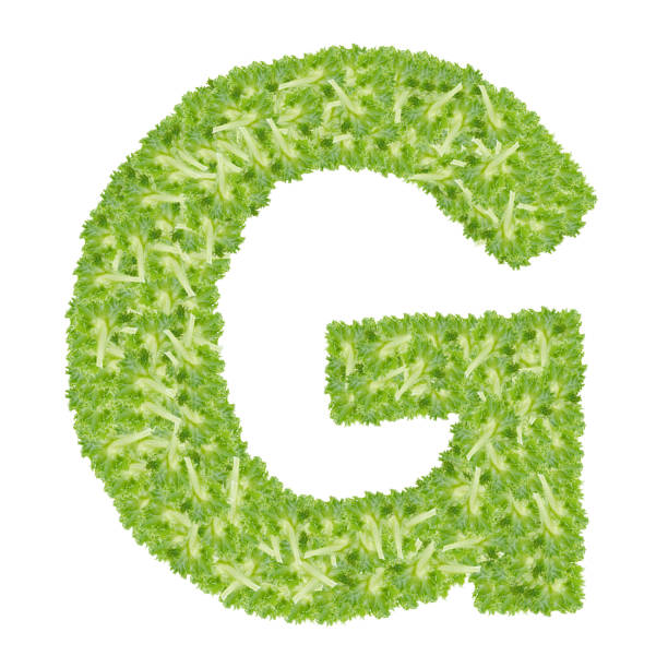 Letter G alphabet with hydroponics leaf  ABC concept type as logo isolated on white background
