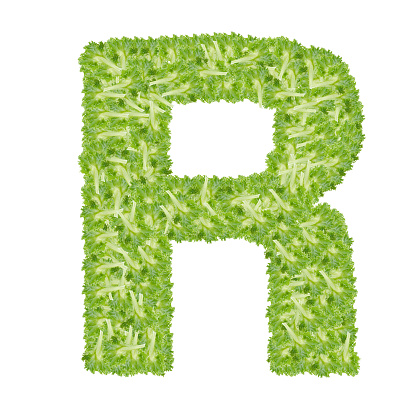 Letter R Like Roots Letter R Alphabet With Hydroponics Leaf Abc Concept Type As Logo ...