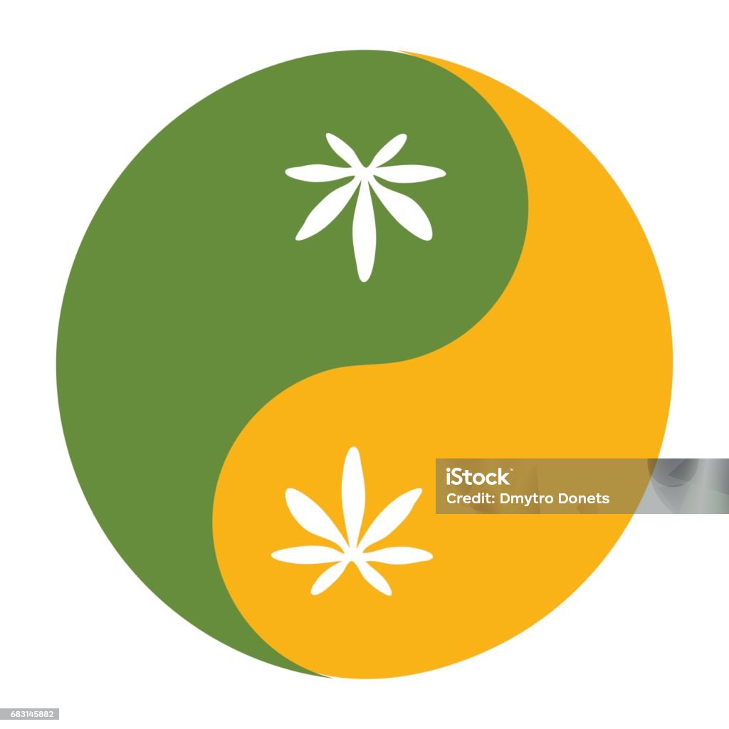 Yin and yang symbol also known as Taijitu as a symbol of harmony with cannabis leaf. Yin and yang symbol also known as Taijitu as a symbol of harmony with cannabis or hemp leaf. Medical cannabis or marijuana responsible consumption symbol or icon. Marijuana - Herbal Cannabis stock vector