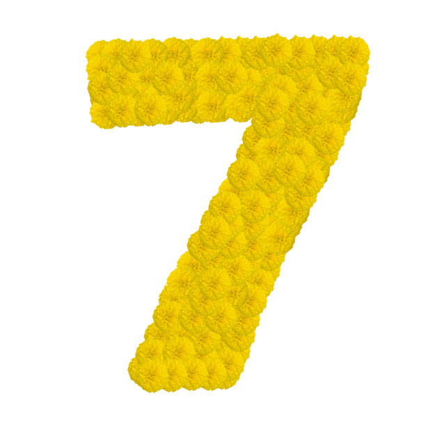 istock Number 7 made from marigold flower isolated on white background 683148948