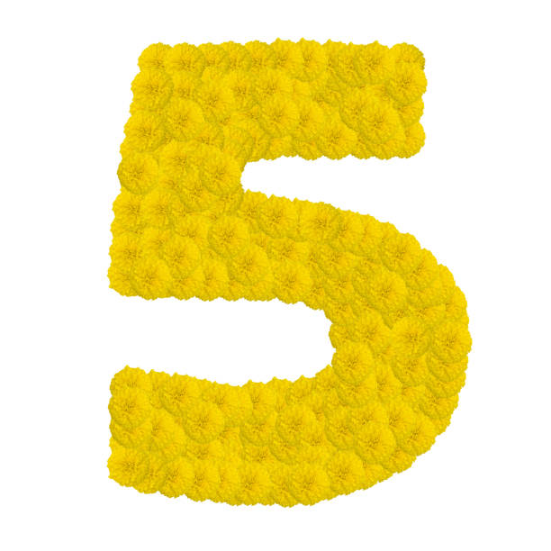 istock Number 5 made from marigold flower isolated on white background 683149724