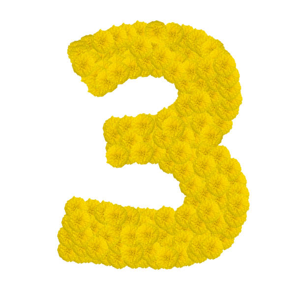 istock Number 3 made from marigold flower isolated on white background 683151986