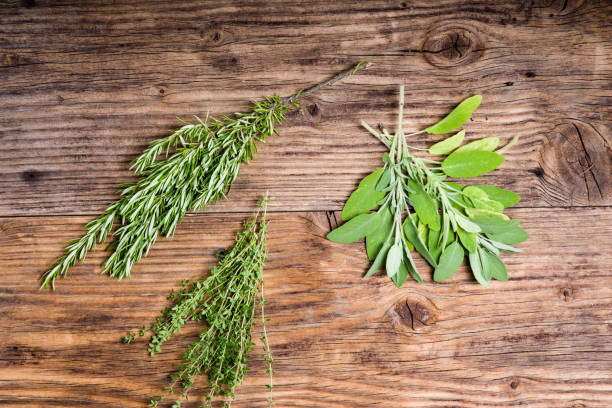 istock Rosemary, thyme and sage herbs 683155040