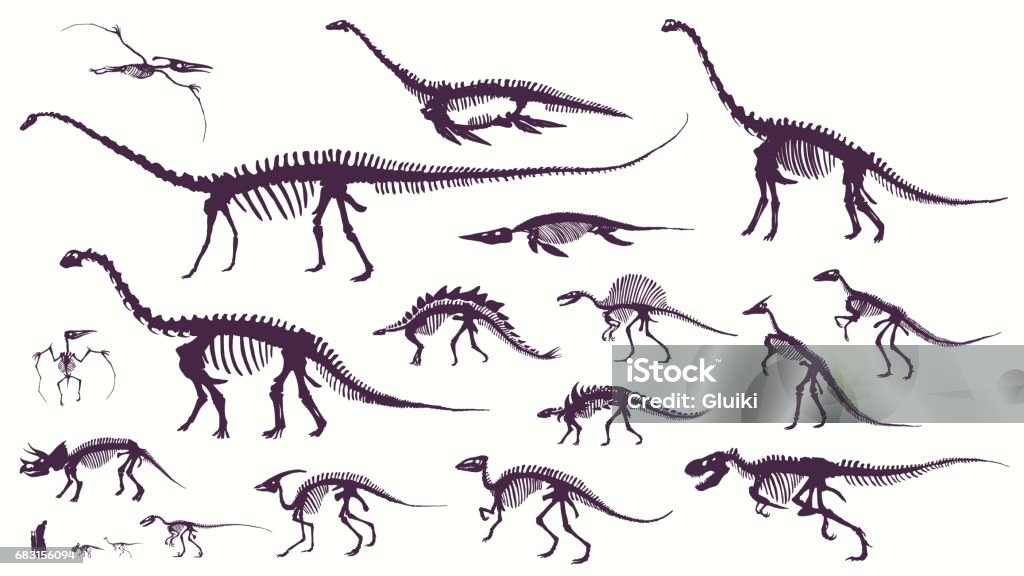 Ensemble, silhouettes, squelettes de dino, dinosaures, fossiles. - clipart vectoriel de Dinosaure libre de droits