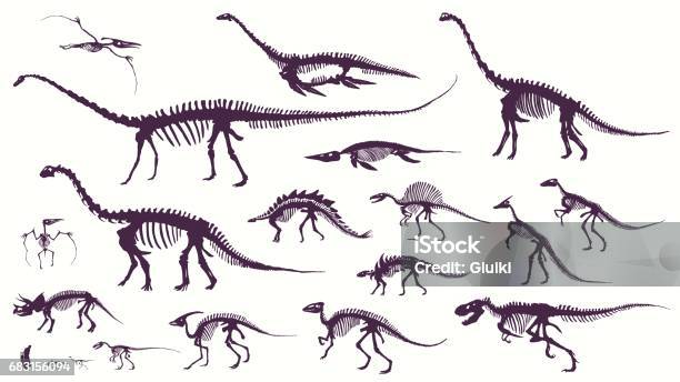 Set Silhouettes Dino Skeletons Dinosaurs Fossils Stock Illustration - Download Image Now