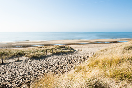 Waves and Marram grass