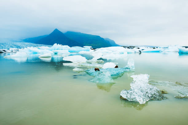 istock Icebergs in the glacial lake.  Iceland 683160948