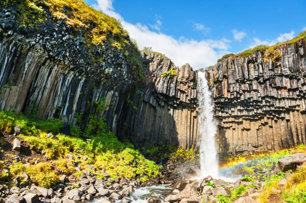 istock Svartifoss waterfall in Iceland 683161124