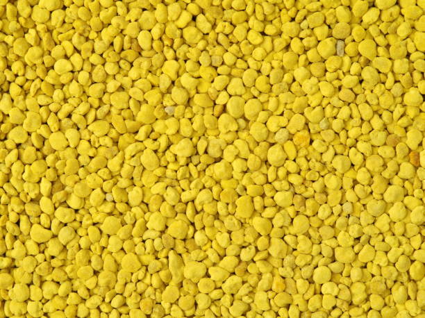 istock Golden bee pollen granules abstract background 683188634