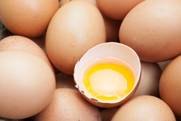 istock Fresh egg yolk from chicken farm 683191520