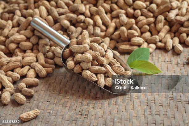 Close Up Shot Of Fresh And Nature Peanut With Ground Earth Dirty - Fotografias de stock e mais imagens de Alimentação Saudável