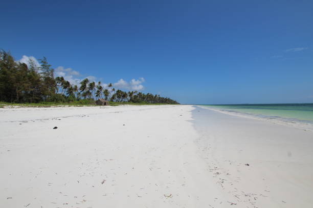 istock Mchanga Beach, Zanzibar, Indian Ocean, Africa 683205252