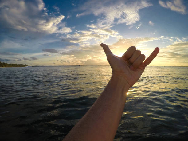 istock Shaka sign in the ocean at sunset 683208402
