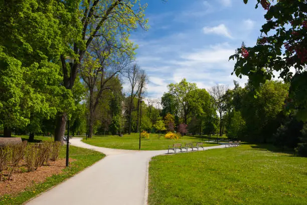 Public park in spring day, Olomouc, Czech Republic