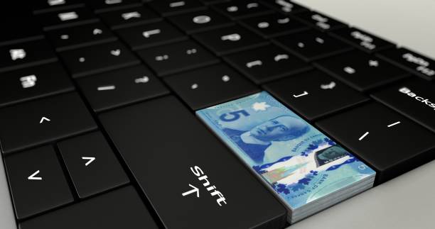 istock Close up of Canada 5 dollar button 683218160