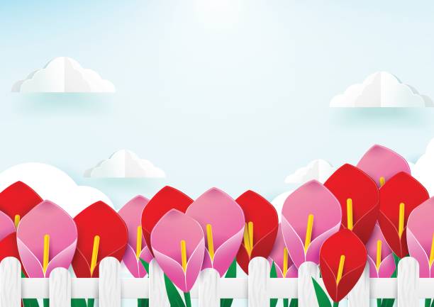 ilustrações, clipart, desenhos animados e ícones de cerca de madeira e de flores com nuvem. design de estilo de arte de papel - tulip field flower cloud