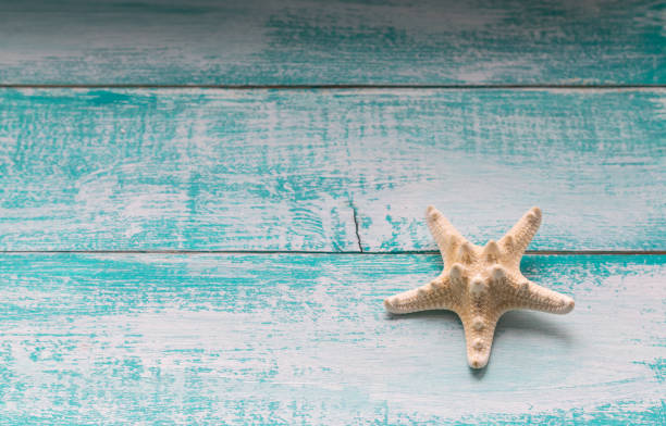 istock Starfish on wooden background 683226156