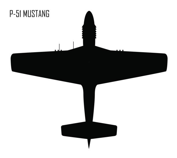 World War II - North American P-51 Mustang World War II - North American P-51 Mustang p51 mustang stock illustrations