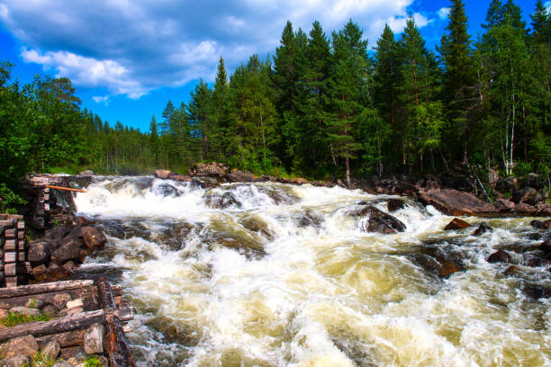 bellissimo fiume selvaggio nella foresta artica. il flusso rapido trasporta le sue acque - karelia foto e immagini stock