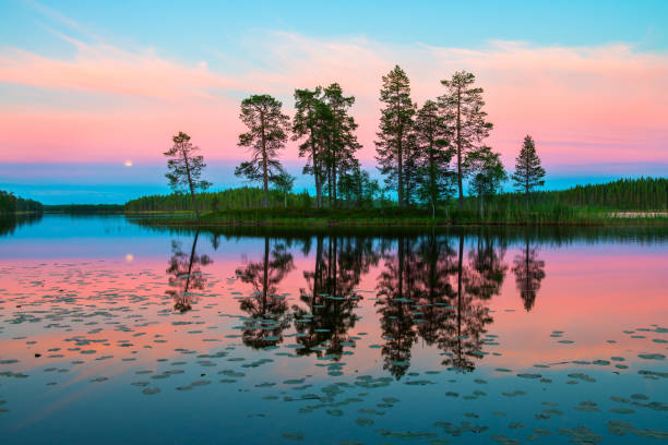 endless polar day in the arctic. night time in july. beautiful pink sky and its reflection in the glossy water of the lake - mountain reflection non urban scene moody sky imagens e fotografias de stock