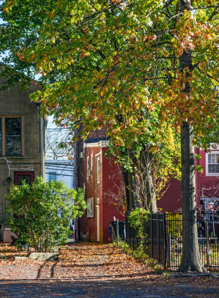 istock Allentown Alleyway 683249752