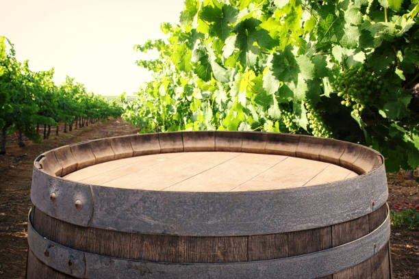 Image of old oak wine barrel in front of wine yard landscape. Useful for product display montage. Vintage filtered