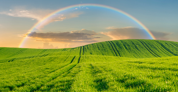 Rainbow over a spring green field