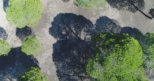 vue aérienne avec le drone, vue de dessus de forêt - top wiew photos et images de collection