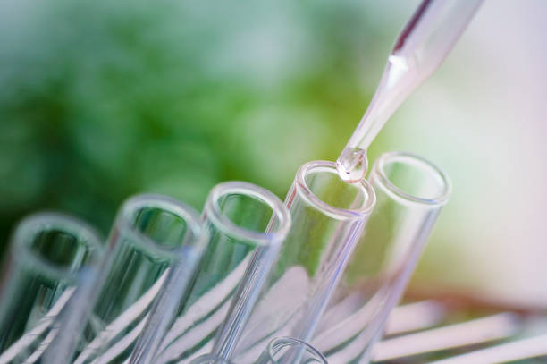 istock scientific experiments,  Laboratory equipment and  test tubes- science concept 683271192