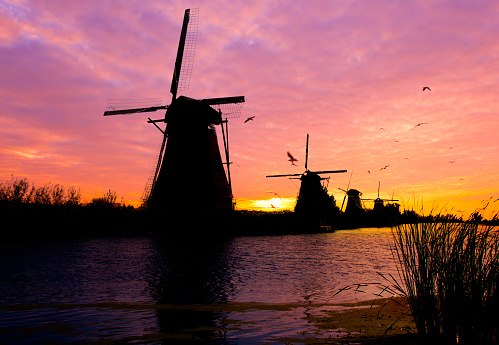 Windmills in Kinderdijk, Netherlands