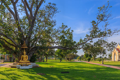 Thai golden Buddha statue with tiered umbrella of trees background. In the temple thailand