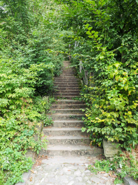 istock A stair in Sighisoara citadel, surrounded by lush vegetation 683296592