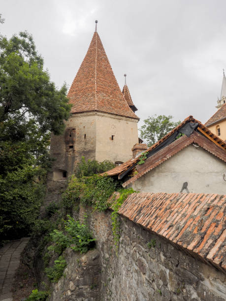istock The Shoemakers' Tower in Shighisoara 683296610