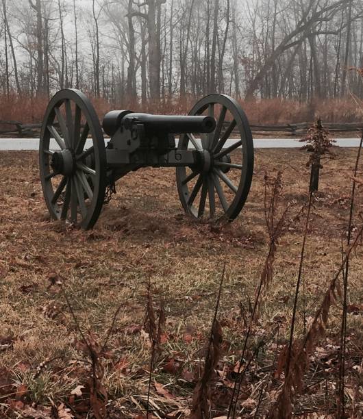 istock Cannon with dried reeds in foreground 683297066