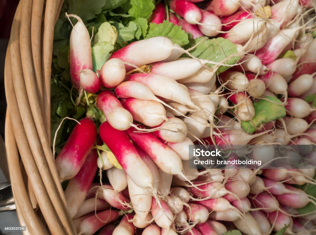 Cesta de rábanos en un mercado de agricultores - Foto de stock de Blanco - Color libre de derechos