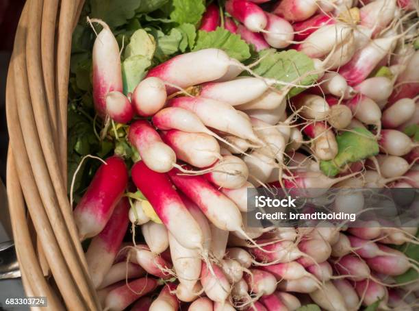 Cesta De Rábanos En Un Mercado De Agricultores Foto de stock y más banco de imágenes de Blanco - Color - Blanco - Color, Cesta, Cruciferae