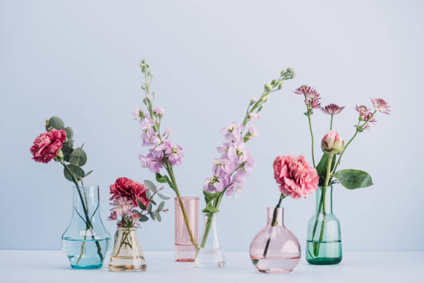Flower arrangement in pastel Flower arrangement in pastel vase stock pictures, royalty-free photos & images